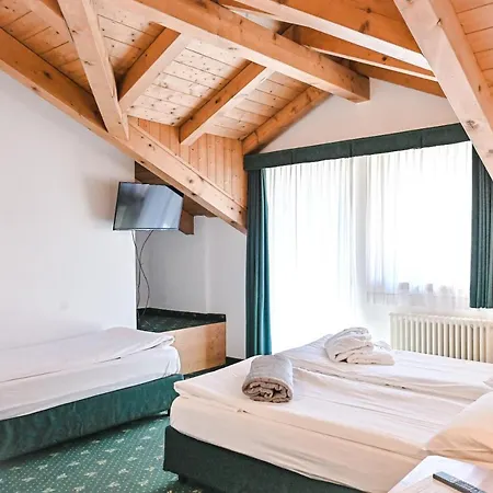 Alp Hotel Dolomiti-3